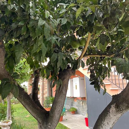 Un Sogno Nel Verde Acilia Ngoại thất bức ảnh